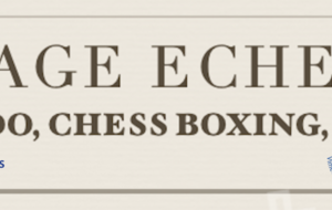 Stage Echecs-Chess Boxing-Kendo-Arts
